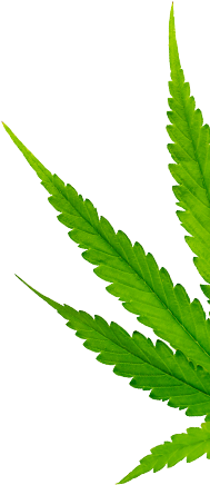 کلینیک یاس