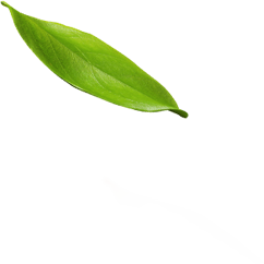 کلینیک یاس